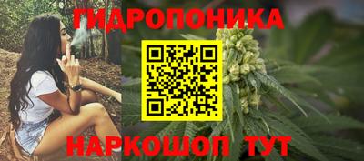 наркотики Боровичи