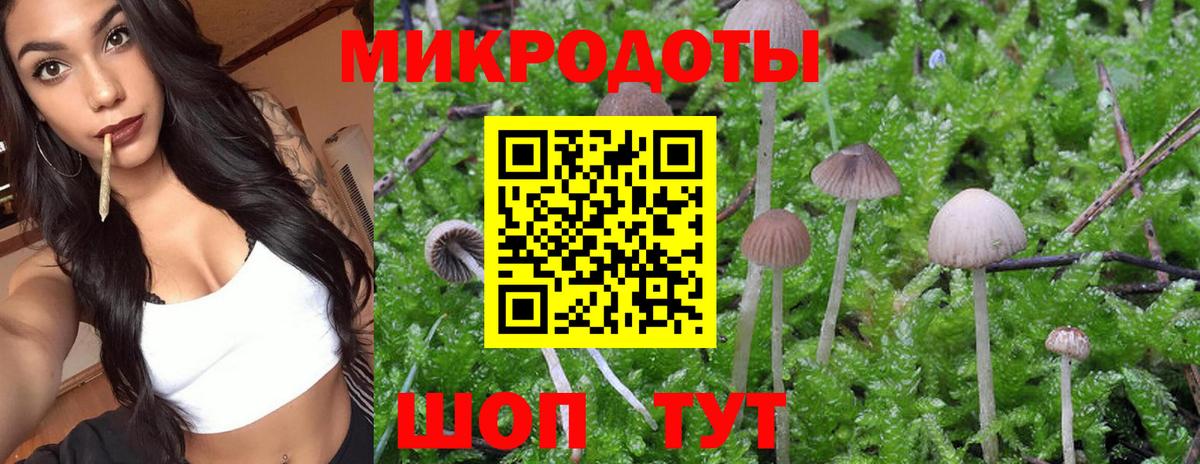 Галлюциногенные грибы прущие грибы  Вход с VPN  Галлюциногенные грибы ЛСД  Грозный 
